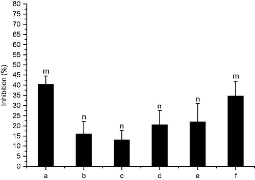 Figure 5. Inhibition ratio of drug-loaded chitosan nanoparticles: (a) 2 mg/mL, (b) 1 mg/mL; (c) 0.5 mg/mL; (d) 0.25 mg/mL; (e) 0.125 mg/mL; (f) 0.0625 mg/mL. Data were given as mean ± SD (n = 5), m indicates significant differences in group a and f (p < 0.001) when compared with other groups. n indicates significant differences in group b–e when compared with other groups (p < 0.001).
