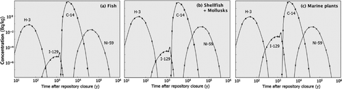 Figure 4 Radionuclide concentration profiles for the normal scenario