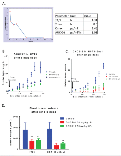 Figure 5. Pharmacokinetics and efficacy of oral ONC212. A) Pharmacokinetic profile through mass spectrometry at a dose of 125 mg/kg with blood extracted into a MeOH pellet through oral administration n = 3. Efficacy of ONC212 at 50 mg/kg in athymic nude mice. Comparison of IP vs oral in B) HT29 and C) HCT116 xenografts overtime D) Final tumor volume comparison of ONC212 in two CRC xenografts. HT29 after 30 days. HCT116 p53-null after 6 weeks. PK n = 3; efficacy n = 6. **p<.01