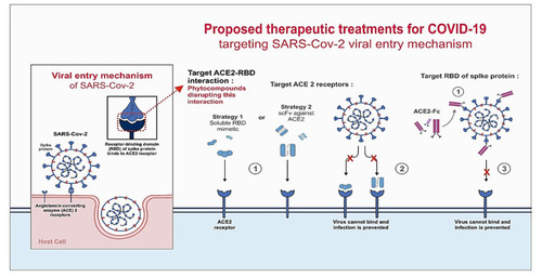 Figure 1 Proposed mechanisms to block the entry of SARS-CoV-2 into host cells.