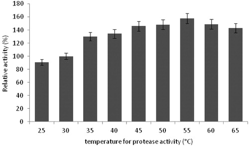 Figure 7. Effects of temperature on protease activity (experimental conditions: reaction pH 10.5, incubation time 20 min, lactose as carbon source, yeast extract as nitrogen source, pH 10.5).