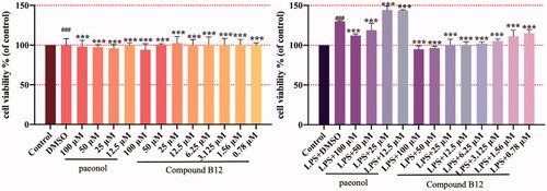 Figure 4. Compound B12 inhibit hyperproliferation in LPS-stimulated HaCaT cells. HaCaT cells were pre-treated with compound B12 at concentrations gradient for 6 h, incubated with LPS (100 g/mL) for 24 h. Cell viability were detected by MTT. ###p < 0.001 compared with Control, ***p < 0.001 compared with LPS-stimulated cells; The cell viability was shown examples of three separate experiments.