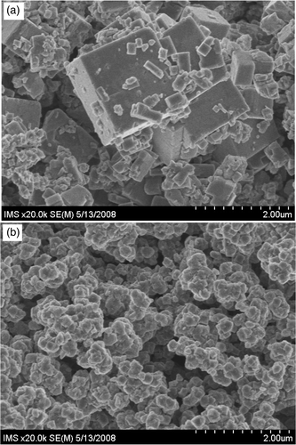 Figure 1. SEM images of Rb x Mn[Fe(CN)6] (a) water and (b) formamide samples.