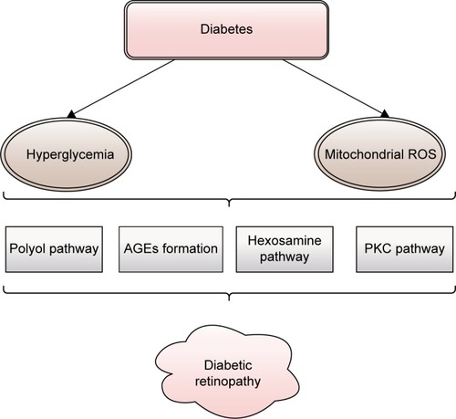 Figure 1 The main mechanisms of hyperglycemia-induced damage considered responsible for the occurrence of diabetic retinopathy: increased polyol pathway flux, increased AGEs formation, increased hexosamine pathway flux, and activation of PKC.