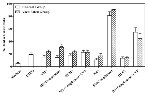 Figure 1. In vitro killing of schistosomula in the presence or absence of cobra venom factor (CVF). Normal Mouse and baboon sera were collected from rSm-p80 immunized mice and baboons [for details, please see Ahmad et al. (Reference Citation17 and Citation21)] and serially diluted from 1:4 to 1:64. Schistosomula were separately co-cultured with medium, serum alone, heat inactive serum, or serum plus exogenous complement with or without CVF for 24 h; viability of schistosomula was checked under a microscope. The results from optimally diluted sera are shown in the histogram. NMS = normal mice serum; HIMS = heat inactive mouse serum; MS + Complement = mouse serum plus complement; MS + Complement + CVF = mice serum plus complement with CVF; NBS = normal baboon serum; HIBS = heat inactive baboon serum; BS + Complement = baboon serum plus complement; BS + Complement + CVF = baboon serum plus complement with CVF.