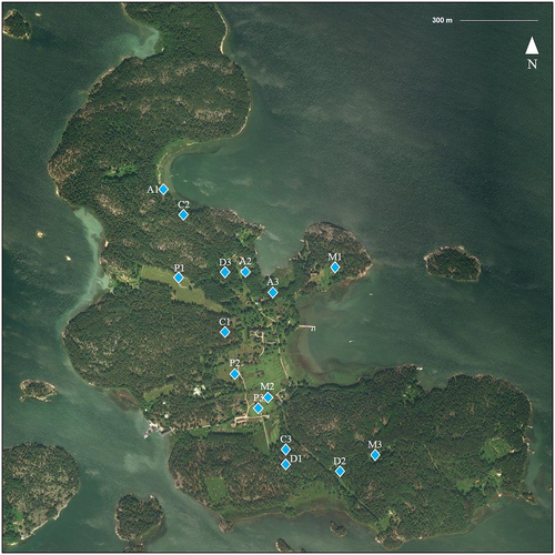 Fig. 4 Study transects on Seili Island. Three transects were assigned to each biotope type, denoted with letter and number combinations.C coniferous forest, D deciduous forest, A alder thicket, M meadow, P pasture. The Archipelago Research Institute is located in the middle of the island
