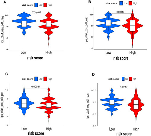 Figure 10 The associations between risk score and response to immune checkpoints ICIs therapy. (A–D) The response to anti-PD1 or anti-CTLA4 in high-risk and low-risk groups.