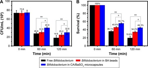 Figure 3 (A) Viable count and (B) survival of free Bifidobacterium, Bifidobacterium in BA beads and Bifidobacterium in CA/BaSO4 microcapsules after being immersed in pH 2.5 gastric acid. *P<0.05, **P<0.01.Abbreviations: BA, barium-mediated alginate; CA/BaSO4, chitosan-coated alginate microcapsule loaded with in situ synthesized barium sulfate.