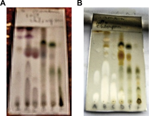 Figure 3 Bulked samples from the VLC of Spondias mombin supernatant.