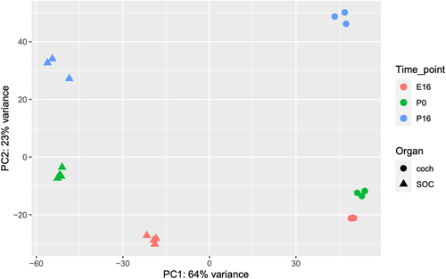 Figure 2. Principal component analysis (PCA) of the RNA-seq data. The main component (PC1) is associated with organ-specific expression programs, while the second component (PC2) reflects developmental programs that are shared by the cochlea and the SOC.