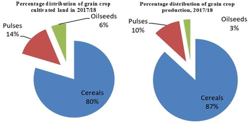 Figure 3. Percentage distribution of grain crop cultivated land and production in Ethiopia in 2017/2018 cropping season