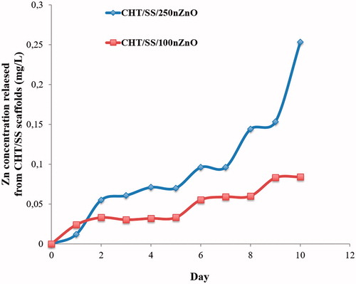 Figure 7. In vitro release profile of CHT/SS/250nZnO and CHT/SS/100nZnO 3D porous scaffolds.