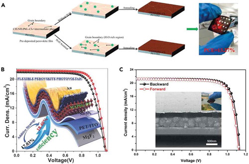 Figure 9. Perovskite film produced using additives (a) Schematic illustration of the different morphology development for CH3NH3PbI3_xClx films with and without H2O additive. (b) Illustration of the F-PSC structure and J–V curves of F-PSCs under both reverse and forward scan directions using MAPbI3–DS (dimethyl sulfide) as the absorber layer. (c) Cross-sectional SEM image and J-V curves of an F-PSC with the Rb1K4CsFAMA absorber. (Suk Jung et al., Citation2019)