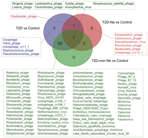 Figure 5. Venn diagram of differential viral species for T2D subjects vs healthy controls, T2D-Ne subjects vs healthy controls, and T2D-non-Ne subjects vs healthy controls.