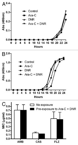 Figure 1. Growth rates of one representative isolate of C. albicans (A) and C. tropicalis (B) previously grown in liquid medium in the presence or not of the antineoplastic drugs cytarabine (Ara-C) and daunorubicin (DNR). Drugs were washed 3× in PBS and 1 × 104 yeast cells were resuspended in YNB broth. Optical density curves were measured in triplicate in a plate reader. (C) Minimum inhibitory concentrations (MIC) of the C. albicans and C. tropicalis strains (three strains each) pre-exposure or not to the combination of Ara-C and DNR.