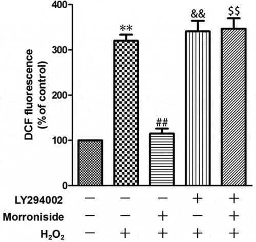 Figure 10. LY294002 blocks inhibitory effects of MR on H2O2-induced ROS overproduction. OLN-93 cells were preincubated with LY294002 for 1 h and then pretreated with MR for 24 h, followed by incubation with H2O2 for 12 h. **P<0.01 vs. the control group; ##P<0.01 vs. the only H2O2 treatment group; &&P<0.01 and $$P<0.01 vs. MR+H2O2.