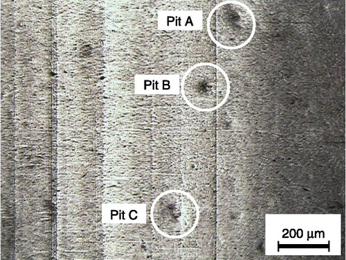 Figure 8 Emergence of pits on the tooth surface induced by cavitation impacts.