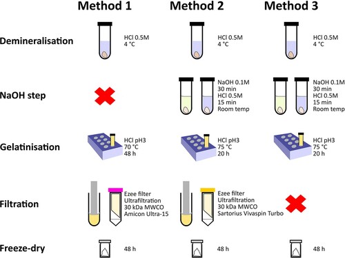 Figure 2. Comparison of the collagen extraction protocols used in this study. The red cross indicates exclusion of a step.