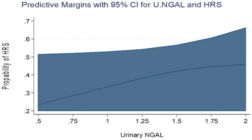 Figure 2. Predictive margins for Urinary NGAL and HRS with 95% confidence intervals. The increasing levels of Urinary NGAL were not associated with an increasing probability of HRS in the univariate analysis.