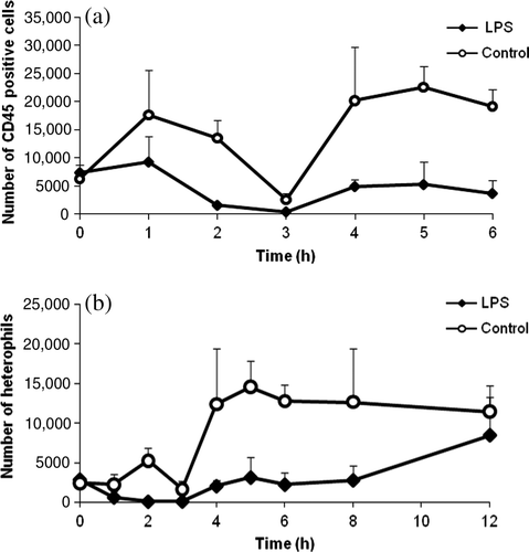 Figure 3.  (3a) Number of CD45-positive white blood cells versus time and (3b) number of circulating heterophils in LPS-treated chickens (n = 6) and control chickens (n = 6) expressed as the mean (+ standard deviation). A significant decrease in circulating leukocytes was seen in LPS-treated chickens due to sequestration and apoptosis.