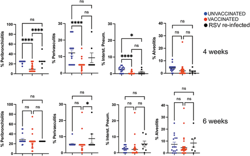 Figure 5. Quantification of four lung histological parameters in the first litters from unvaccinated and vaccinated dams during the first pregnancy. Peribronchiolitis, perivasculitis, interstitial pneumonia, and alveolitis were scored blindly on H&E-stained lung slides from pups challenged with RSV and sacrificed on day 4 p.i. Each symbol represents a mean pathology score for each litter. Offspring of the first pregnancy were challenged with RSV i.n. at 4 (top) or 6 (bottom) weeks of age. Significance of differences between the groups was evaluated by one-way ANOVA followed by Tukey post hoc test. ****, p < .0001; *, p < .05; ns, not significant.
