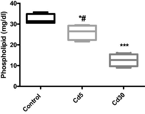 Figure 12. Effect of cadmium on cardiac phospholipid level. The phospholipid level in the heart of rat treated with cadmium decreased significantly with increasing dosage of cadmium (*p < 0.05, ***p < 0.001 when compared with the control; #p < 0.05 when compared with the Cd30 group).