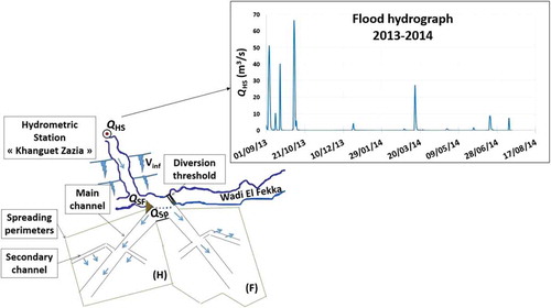 Figure 2. Flood hydrograph measured at the Khanguet Zazia hydrometric station during hydrological year 2013/14, and the schematic representation of the water distribution between floodwater and irrigation water on the El Hachim (H) and El Fekka (F) spreading perimeters.