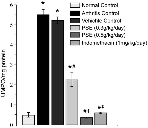 Figure 4. Effect of PSE and standard drug treatment(s) on tissue MPO levels in FCA-induced arthritis. Values shown are mean ± SE (n = 6). Value significantly different vs: *naïve rats (no FCA; Normal Control); #Arthritis and Vehicle-Treated Controls; or, ‡0.3 PSE rats (among FCA-injected rats that received drug treatments) (p ≤ 0.05).