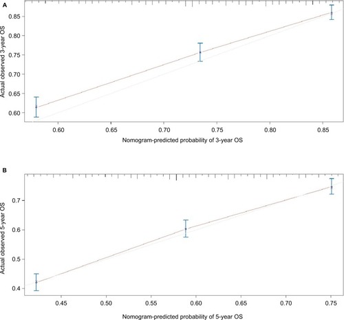 Figure 4 (A) Calibration curve of the nomogram for predicting 3-year OS rates of patients undergoing sublobar resection for stage IA NSCLC. (B) Calibration curve of the nomogram for predicting 5-year OS rates of patients undergoing sublobar resection for stage IA NSCLC.Abbreviations: NSCLC, non-small-cell lung cancer; OS, overall survival.