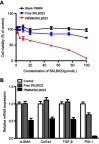 Figure 4 Anti-fibrosis effects of PBMM/SKLB023 in vitro. (A) Viability of HSC-T6 cells treated with different formulations. Data are mean±SD (n=5). (B) Relative mRNA levels of fibrosis-related genes (α-SMA, Col1a1, TGF-β, and PAI-1) in HSC-T6 cells treated with different formulations. Data are mean±SD (n=3).