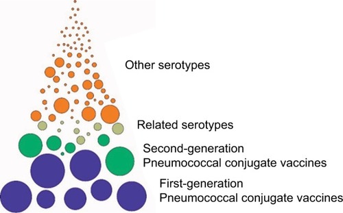 Figure 2 Pneumococcal serotypes and pneumococcal vaccines.