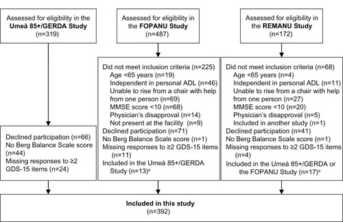 Figure 1 Flow chart of the inclusion process for this study.