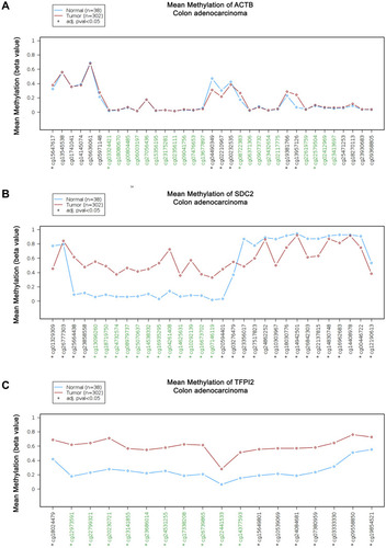 Figure 4 Methylation levels of CpG citesof ACTB, SDC2 and TFPI2 in CRC and Normal. (A) Methylation levels throughout the region around ACTB gene between normal tissues and CRC tumors are compared. (B) Methylation levels throughout the region around SDC2 gene between normal tissues and CRC tumors are compared. (C) Methylation levels throughout the region around TFPI2 gene between normal tissues and CRC tumors are compared. Green probes indicate CpG islands.