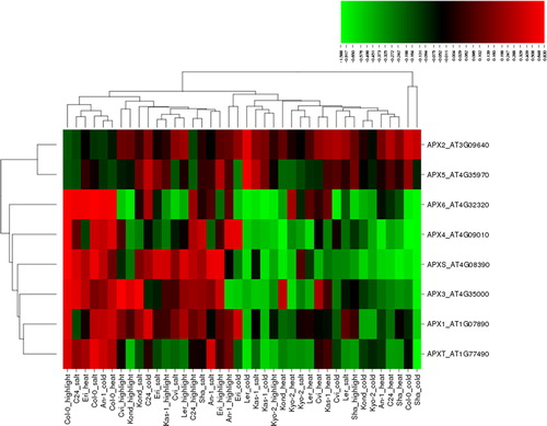 Figure 3. Heatmap showing the expression profiles of eight ascorbate peroxidase (APX) genes (APX1-6, APXT and APXS) in 10 natural Arabidopsis ecotypes, An-1, Cvi, Col-0, C24, Eri, Kas-1, Kond, Kyo-2, Ler and Sha, under four different stress conditions of salinity (100 mmol/L NaCl), cold (10 °C), heat (38 °C) and high light (800 μmol photons m−2s−1). Green indicates the down-regulated genes; red shows the up-regulated genes under given stresses. Conditions (up) and genes (left) with similar expression profiles were hierarchically clustered using Pearson correlation.