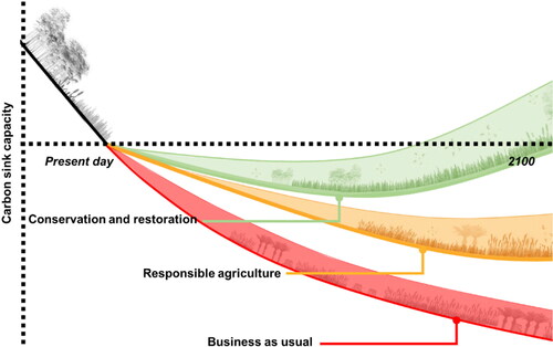 Figure 1. The three-peat challenge describes three contrasting trajectories for peatland management: business-as-usual, responsible agriculture, and conservation and restoration, as a way to understand the potential impacts of these types of management practice or intervention on peatland C dynamics. The dotted line on the X-axis represents time, while band thickness is an approach for visualizing potential global peatland C sink capacity (above and bel. Under business-as-usual (thin red band), peat degradation will continue or intensify, with increased exploitation for agriculture and other land uses and management practices (for example Sub-surface exploration for petroleum resources), with minimal carbon sink potential and high GHG emissions. Responsible agriculture (medium thickness yellow band) may offer benefits (for example reduced GHG emissions and increased biodiversity) over business-as-usual, whereas conservation and restoration (green band, maximum thickness) can result in restoring the role of peatlands globally as a net carbon sink. This approach is illustrative, as different solutions will need to be implemented based on local requirements (dictated by, for example, geography, natural resource availability, and livelihood practices), and there is likely to be a need for the implementation of both responsible agriculture and conservation and restoration approaches together.