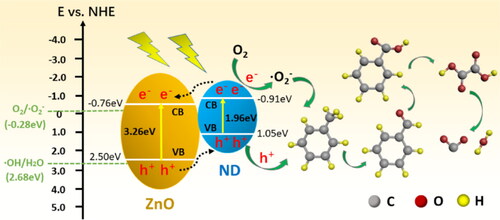 Figure 15. Proposed mechanism for photocatalytic degradation of toluene upon ZnO/ND photocatalysts [Citation18].