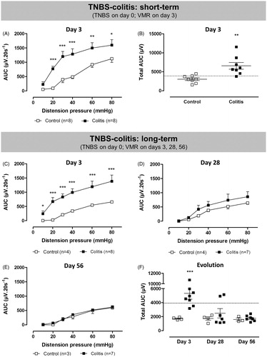 Figure 3. Short- and long-term effects of TNBS-induced colitis (filled squares) or saline enema (open squares) on VMRs to colorectal distension. In the short-term protocol, VMRs were evaluated 3 days after induction of TNBS-colitis (A and B). In the long-term experiment, visceral sensitivity was assessed longitudinally in the same rats on Days 3, 28 and 56 post-induction of colitis (C–F). Data are presented as the AUC for the individual distension pressures (A, C–E; analyzed by generalized estimating equations) or as the total AUC (B and F, unpaired Student’s t-test). The dashed line in B and F represents the 90th percentile for controls as an upper limit for normosensitivity. Results are expressed as mean ± SEM; *p < 0.05, **p < 0.01, ***p < 0.001 compared to controls.