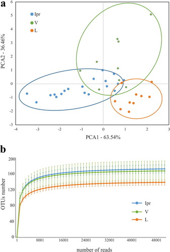 Figure 2. Comparison of microbiota associated with interproximal, vestibular and lingual regions. Samples are visualized in a PCA plot according to the relative abundance of genera, as determined by 16S rRNA gene Illumina sequencing (a). The estimated richness of bacterial species in each region is shown as rarefaction curves (b)