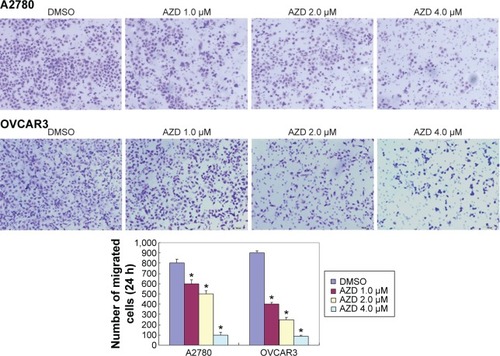 Figure 3 Effects of AZD1080 on ovarian carcinoma cell invasion.