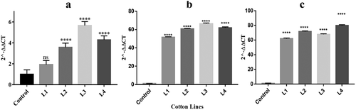 Figure 4. Relative quantification of mRNA expression through quantitative real time PCR. Non-transgenic wild type plant is represented by Control, and transgenic cotton plants as L1 to L4. (a) mRNA expression of cry1Ac gene. (b) mRNA expression of cry2A gene. (c) mRNA expression of cp4-EPSPS. Significant difference at p < .0001 is represented by **** as calculated by Dunnett’s multiple comparison test and one-way ANOVA