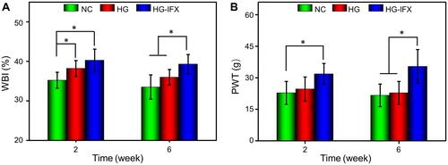 Figure 5 Changes of pain-related behavior after IFX-loaded hydrogel injection into the left knee joints. (A) Weight-bearing capacity was calculated by weight-bearing index (WBI). (B) Paw withdrawal threshold (PWT) was measured to test mechanical allodynia (*p < 0.05).