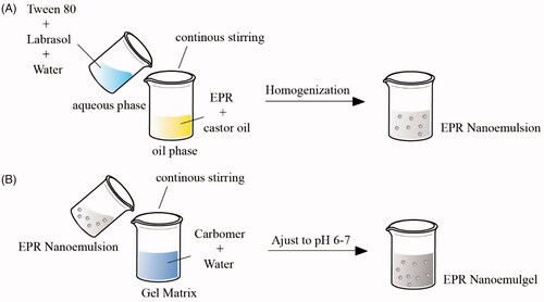 Figure 1. Schematic representation of preparation of EPR nanoemulsion (A) and EPR nanoemulgel (B).