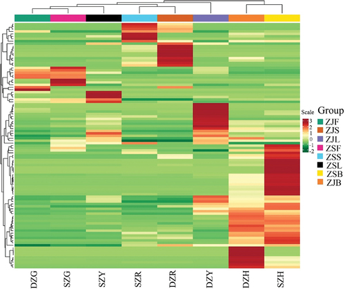 Figure 3. Heat map based on the contents of all flavonoids detected in this study. The content was the mean value of triplicate determinations. The data was standardized, and hierarchical cluster analysis was performed. Each column represents one tissue, and each row represents one flavonoid. Red. indicates high-content flavonoids, whereas green indicates low-content flavonoids.