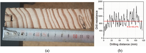 Figure 19. Survey and testing of the timber specimen: (a) cross-section; (b) resistograph result.