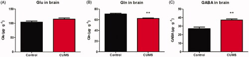 Figure 6. The concentration of Glu, Gln and GABA in mouse brain. The Glu contained in brain (A); The Gln contained in brain (B); The GABA contained in brain (C). Data are expressed as Mean ± SEM, n = 8–10. **p < 0.01.