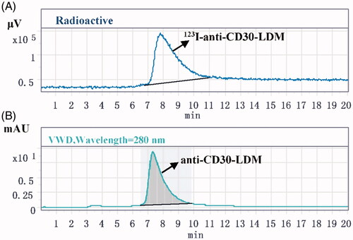 Figure 4. The radiochemical purity of 123I-anti-CD30-LDM after purification. (A) Analysis by HPLC (radiation detector) after purification of the 123I-anti-CD30-LDM. (B) Analysis by UV HPLC detector after purification of the anti-CD30-LDM.