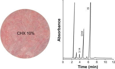 Figure 2 A representative chromatogram of a standard mixture of chlorhexidine with the internal standard.