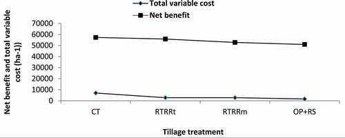 Figure 7. Partial budget analysis at Memerhager. Abbreviations: CT, conservation tillage (5 times pass), RTRRt: reduced tillage residue retained, RTRRm: reduced tillage residue removed, OP+RS, one plow +round up spray