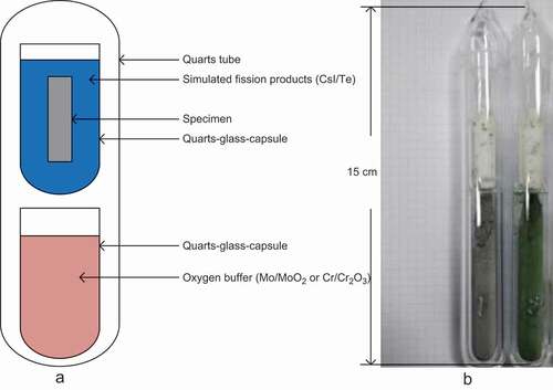 Figure 2. (a) Schematic diagram of the test equipment. (b) Capsules after loading the additives.