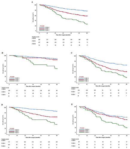Figure 5 Kaplan–Meier curves analyses for OS based on F-SII score. (A) All patients. (B) Stage I/II. (C) Stage III. (D) Tumor diameter ≤50 mm. (E) Tumor diameter >50 mm.